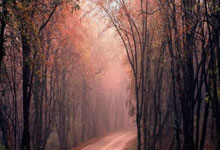 开云体育入口-摩洛哥瓦赫达保持连胜势头，世俱杯冠军呼之欲出