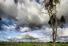 开云体育-引力透镜下的新星：赫塔菲青训营如何用科学法则锻造未来巨星