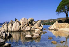 开云体育入口-暴力美学撕裂巴克莱！字母哥30+15统治攻防，雄鹿三叉戟碾碎篮网红蓝军团