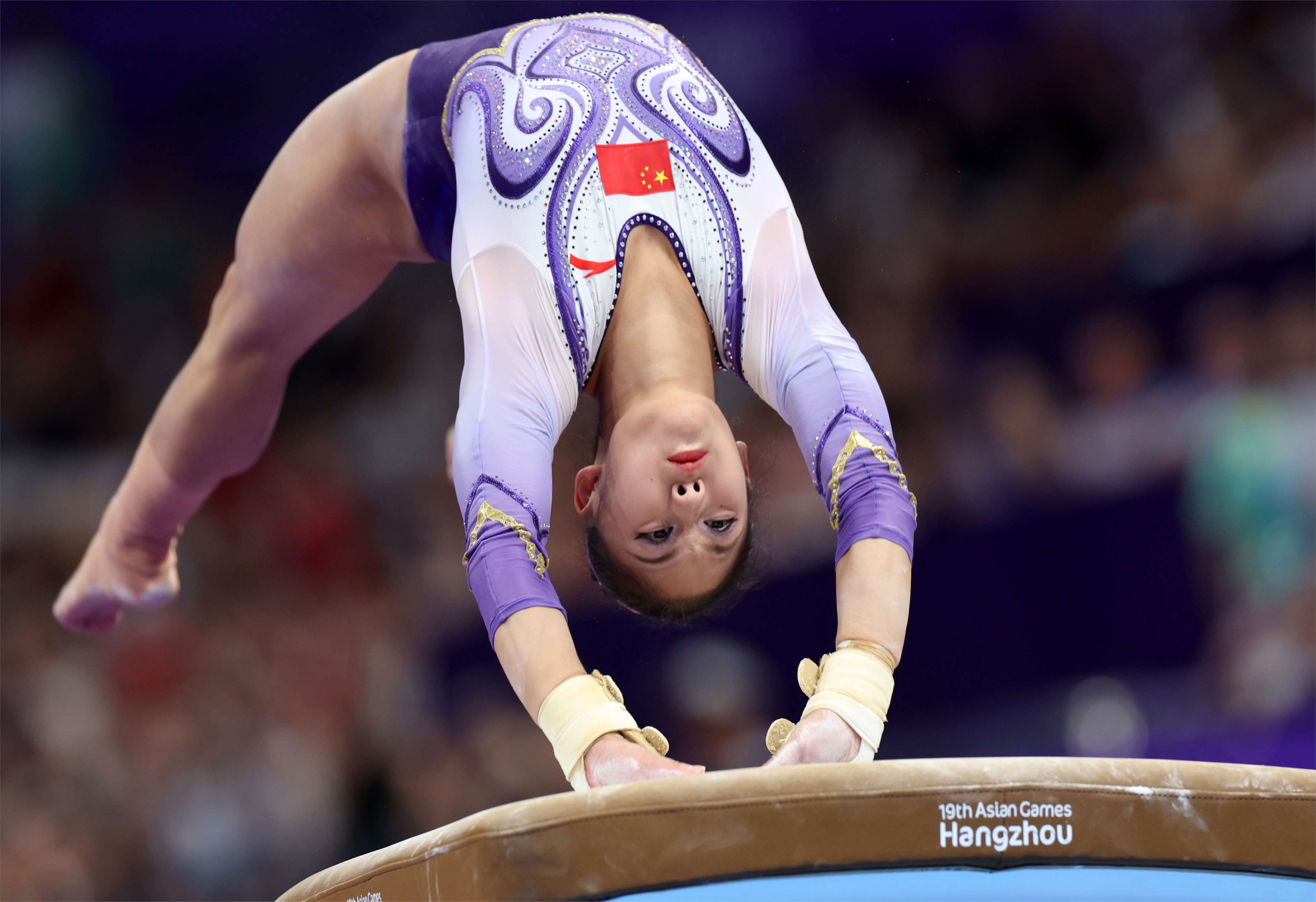 开云体育平台APP-新西兰女子体操选手技艺精湛