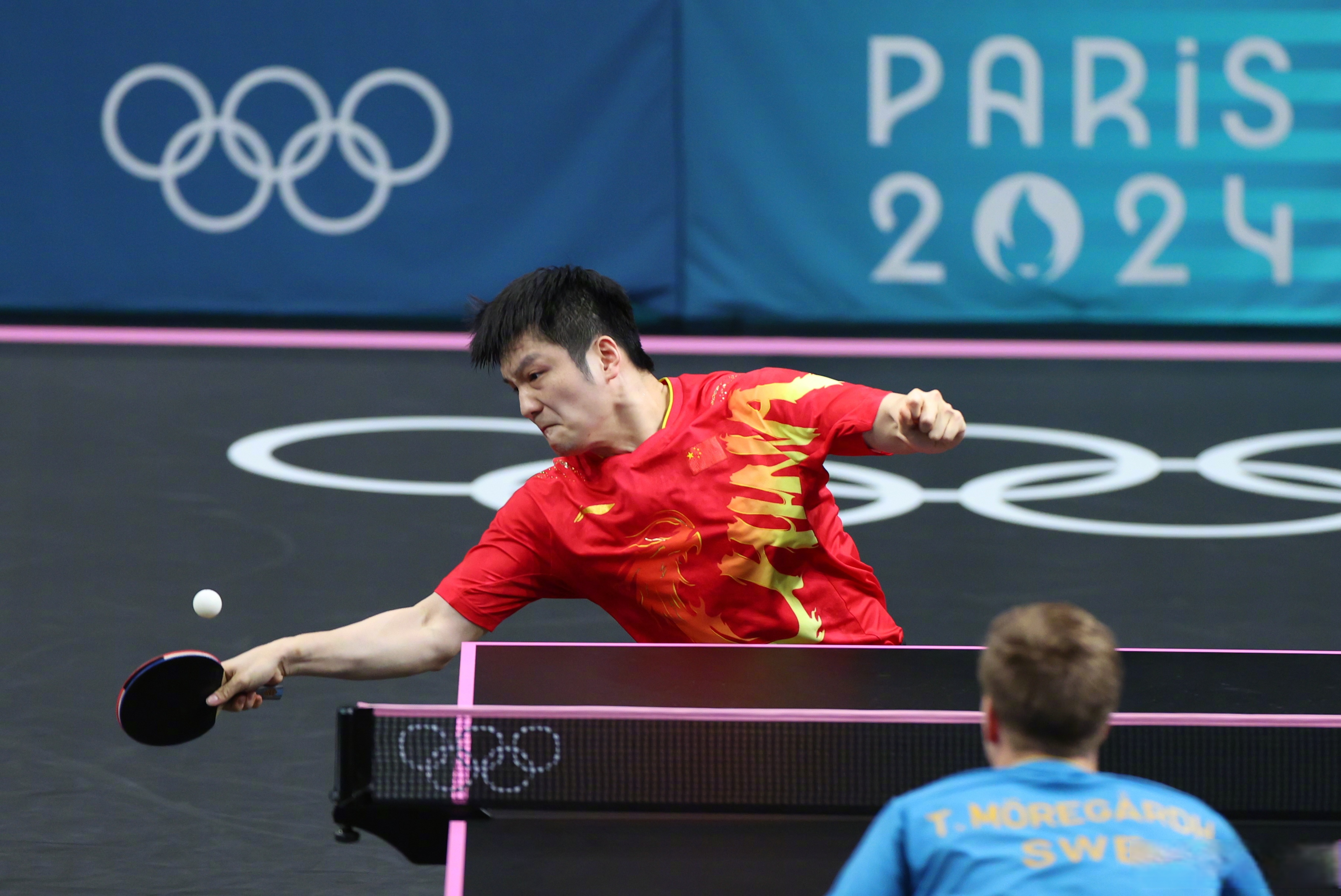 开云体育平台APP-中国队完胜葡萄牙队，樊振东惊艳四座