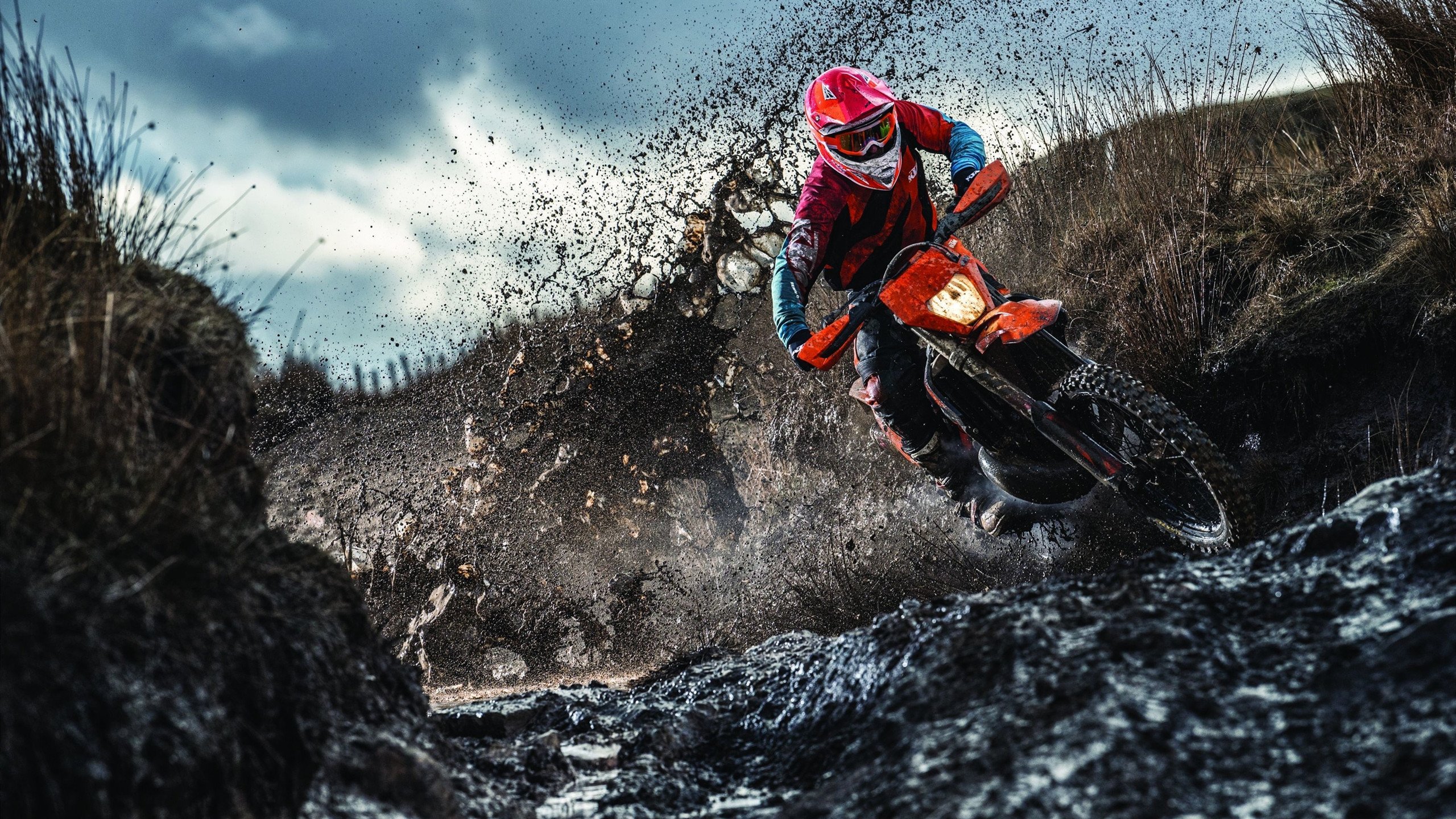 霍勒迪化身胜负手，掘金压哨绝杀凯尔特人惊魂夜