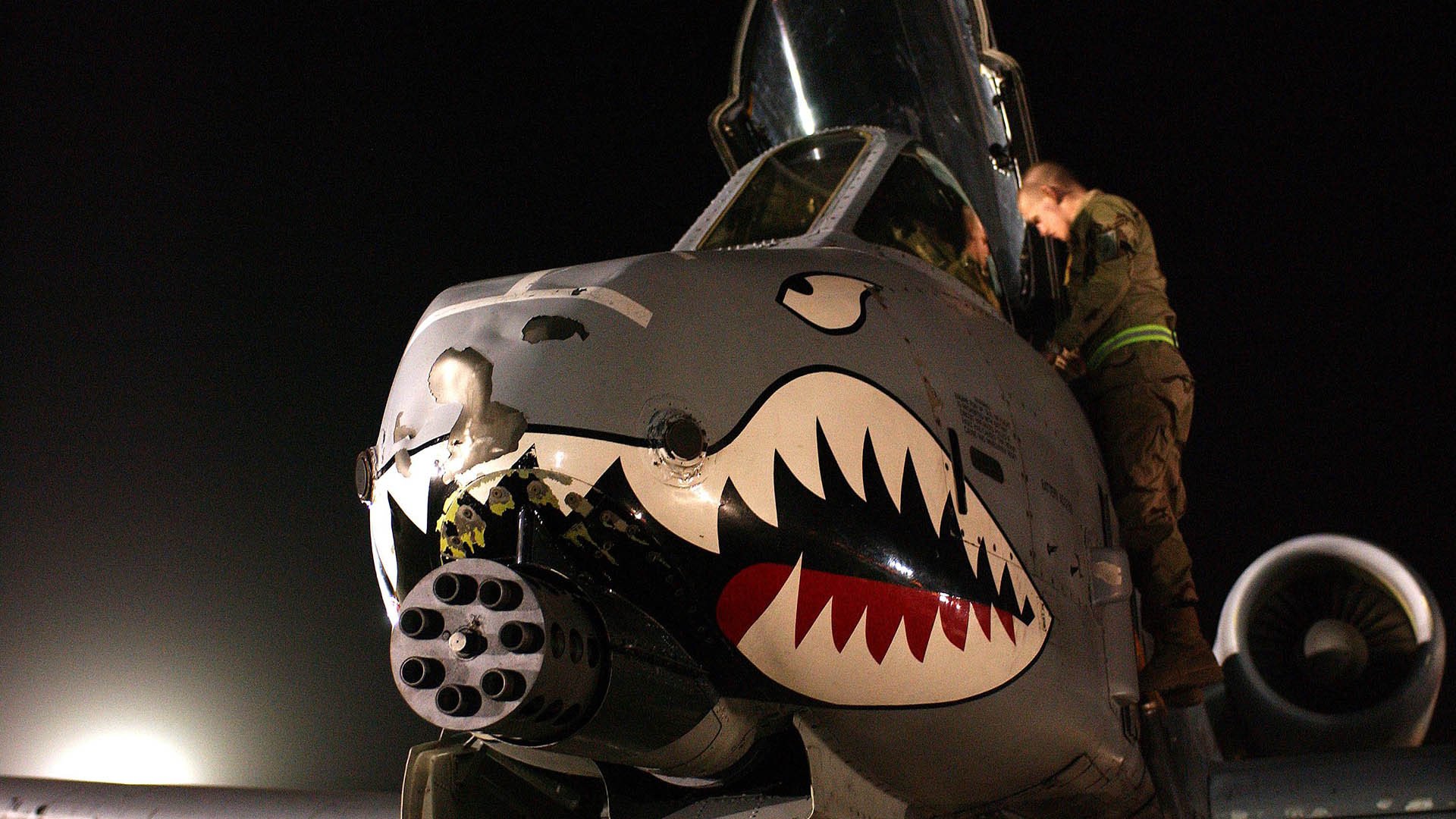 开云下载-从落选秀到满分战神，范弗利特的欧冠封神启示录