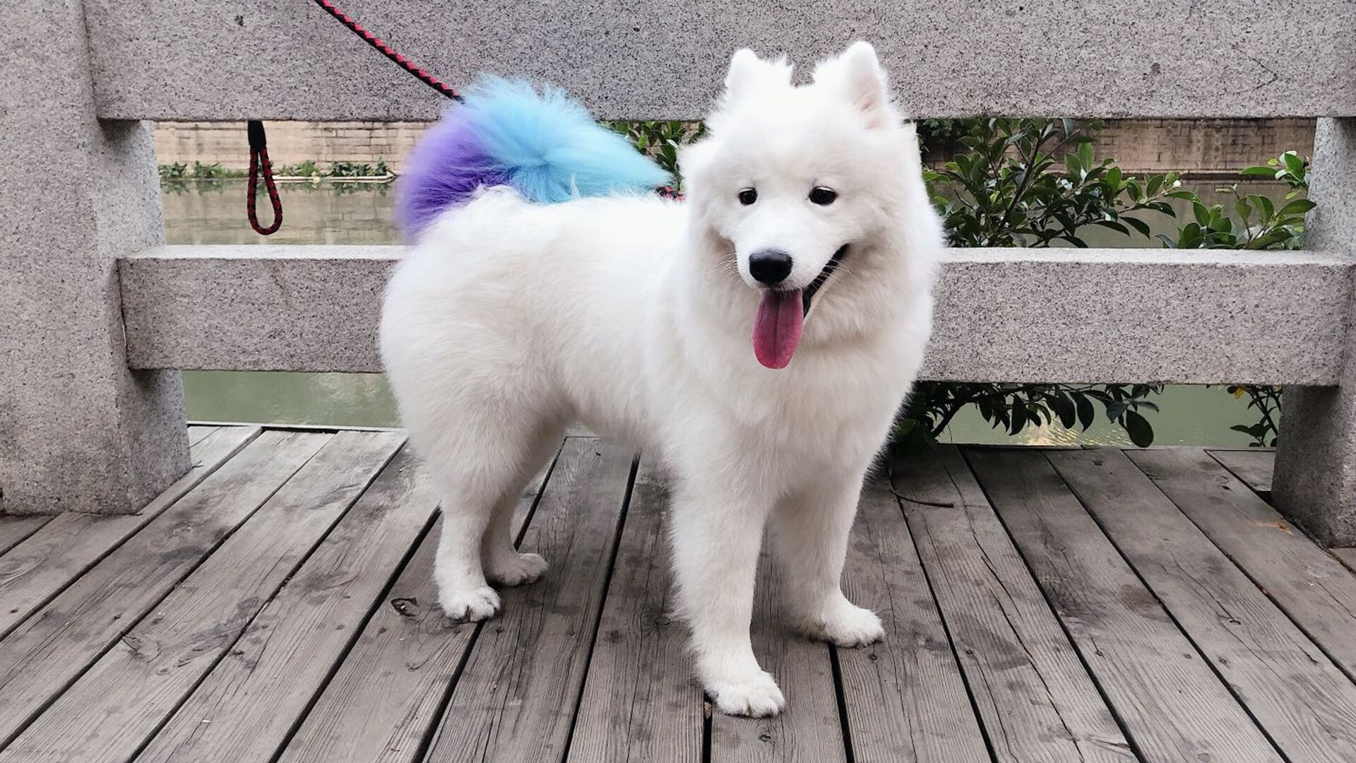 开云APP-梅西的统治艺术，玻利维亚与挪威对决中的传奇之夜