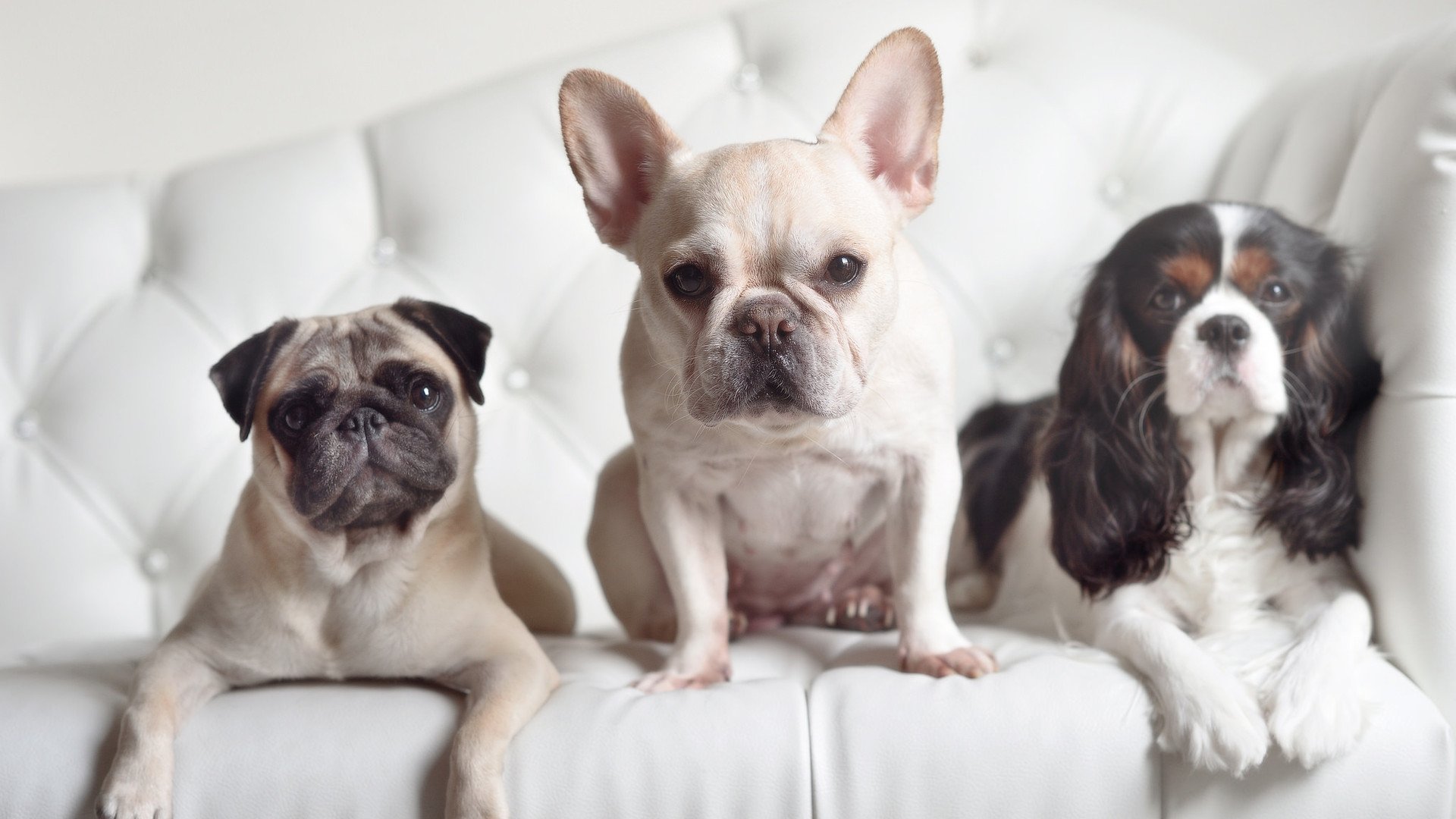 从迷失到主宰，拉梅洛的救赎之夜