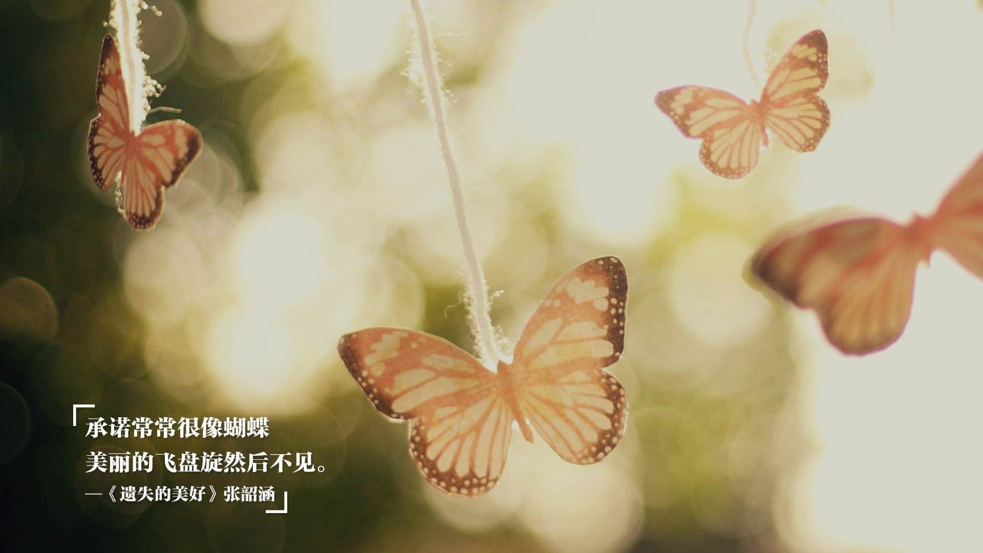 年度焦点之战，霍勒迪，那道锁死荣耀的寒冰枷锁