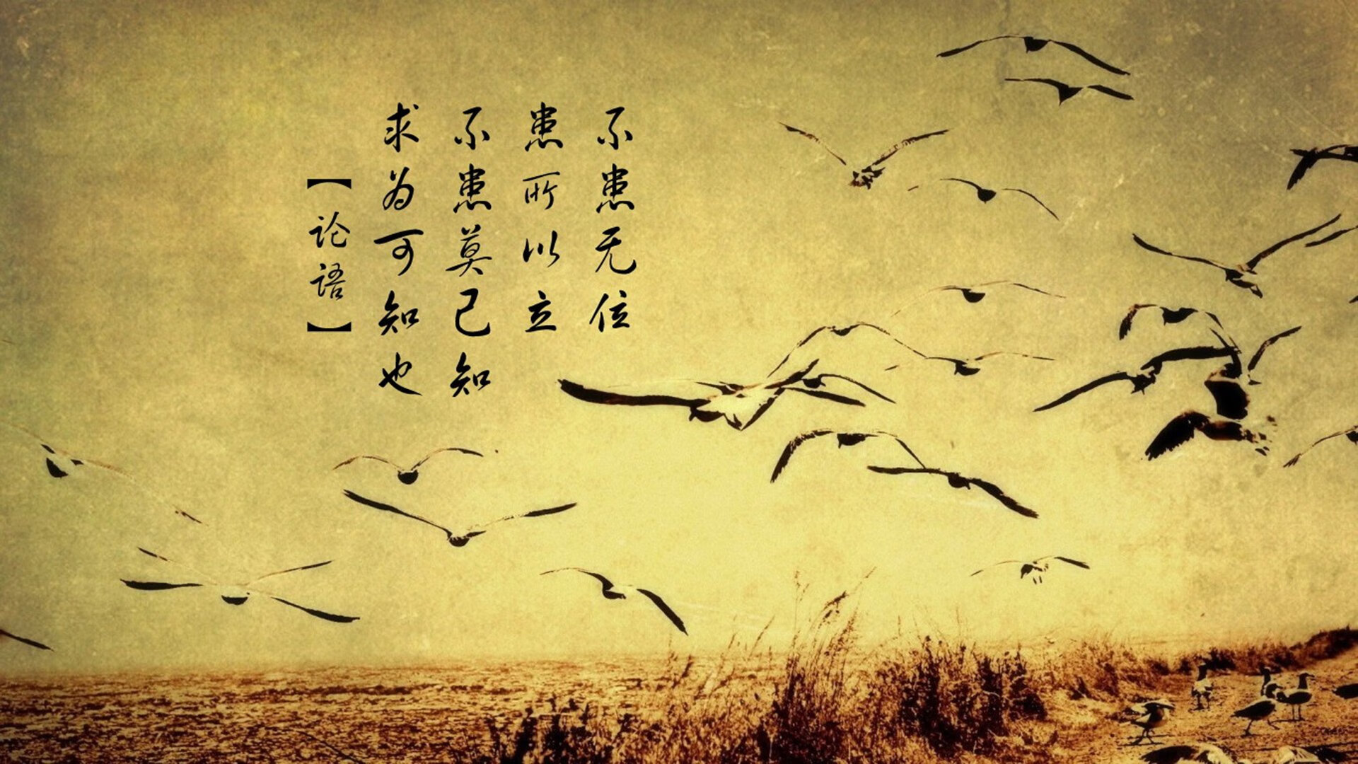 开云体育登录-篮球风云，丹麦单节爆发拉开阿根廷，加维NBA季后赛独揽乾坤