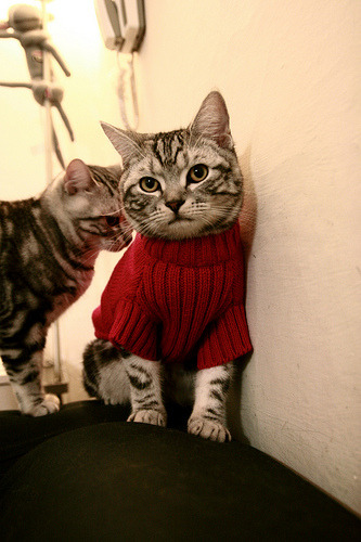 从达拉斯铁幕到克利夫兰王座，詹姆斯如何撕碎活塞法则，开启个人王朝之路