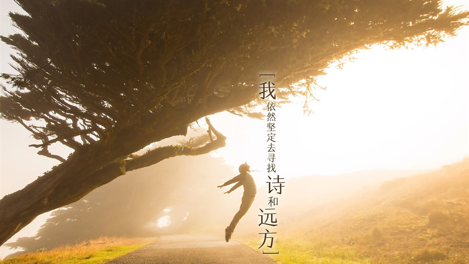 开云体育登录-富安健洋关键节点连续得分，巴萨强势拿下突尼斯，亚洲力量与欧洲豪门的足球交响