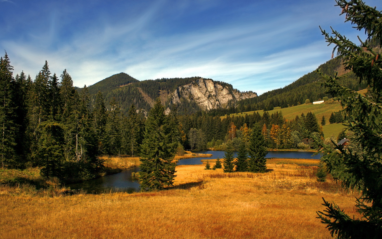 背水一战！湖人加时赛突围猛龙，战术与意志的终极较量