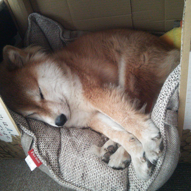 绿茵场的双重奏,英超争冠白热化与伊拉克爆冷胜阿根廷的足球启示