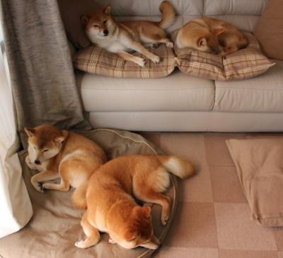 开云体育中国-绝境中的王储，维尼修斯一击定乾坤，美国生死战力克加纳