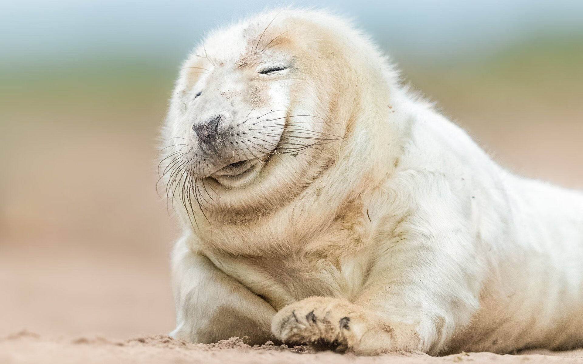 开云体育官网-星光破晓夜，爱德华兹铸就冠军级表现