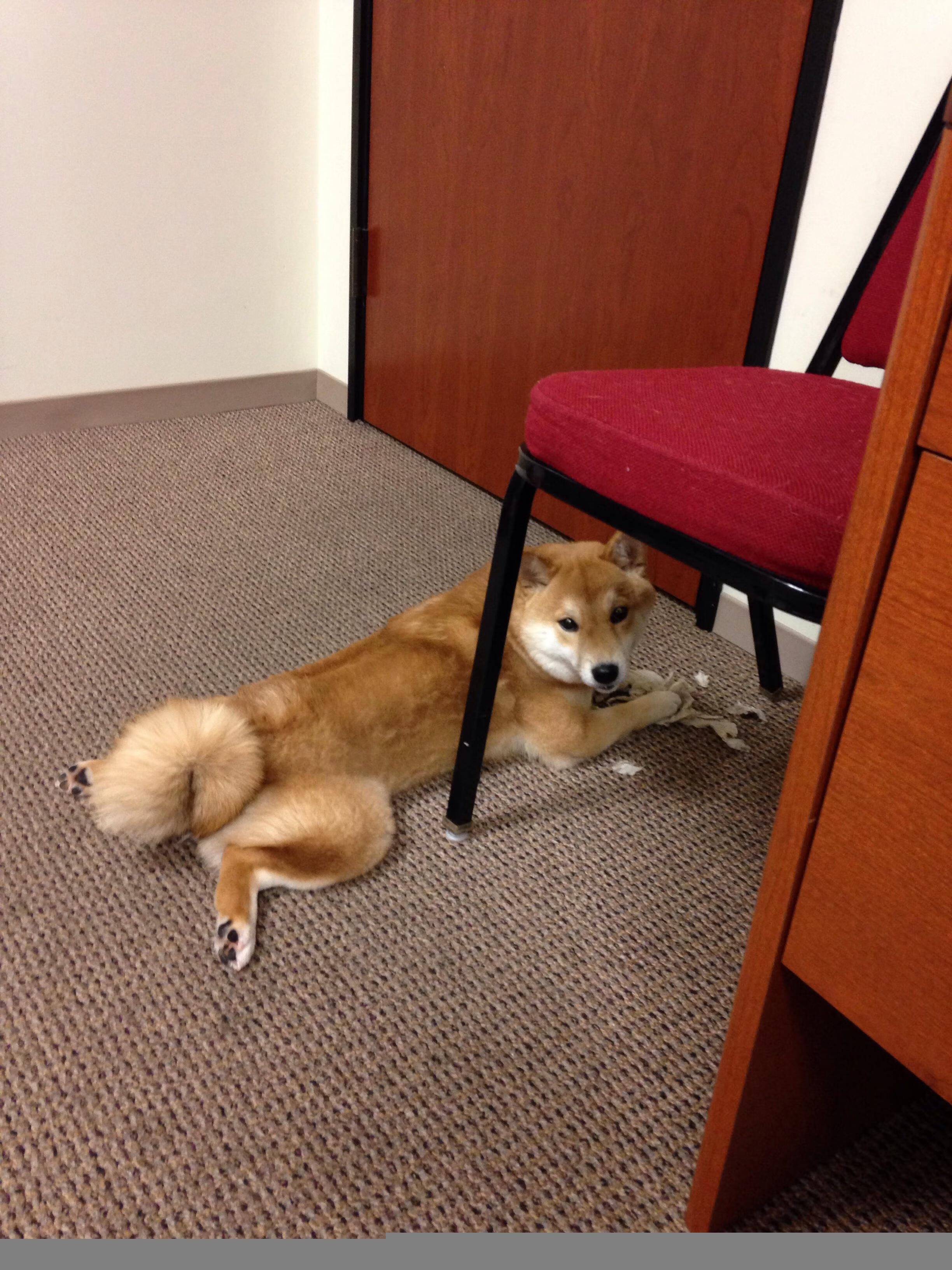 赛道与球场的轰鸣，在速度与对抗中，开启体育狂欢的四月