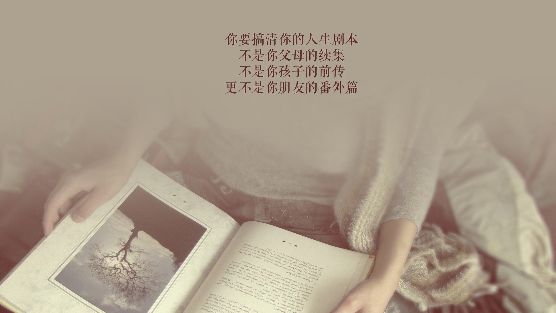 北欧风暴席卷绿茵，丹麦4-0横扫哥斯达黎加，德布劳内大师级表现主导F组焦点战