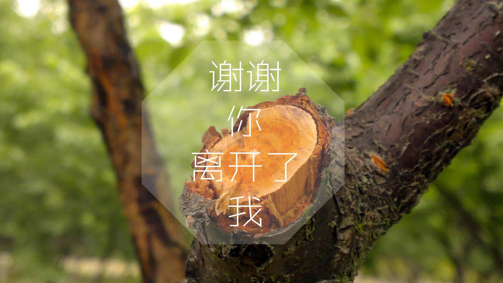 开云体育下载-绝地反击，2026世界杯G组关键战，意大利力克比利时，范戴克领袖风范助橙衣军团取胜